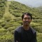 Bibek Shrestha