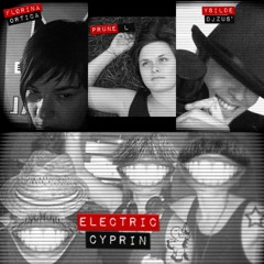 ElectricCyprin Party