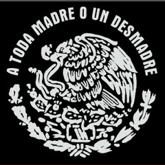 Cuasi