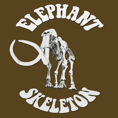 Elephant Skeleton