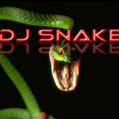 Dj Snake Wilhelmshaven
