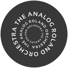 theanalogrolandorchestra