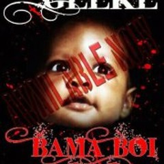 Geeke feat. Tae-Da-Chip:   Nan Bitch