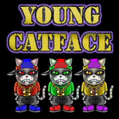 youngcatface