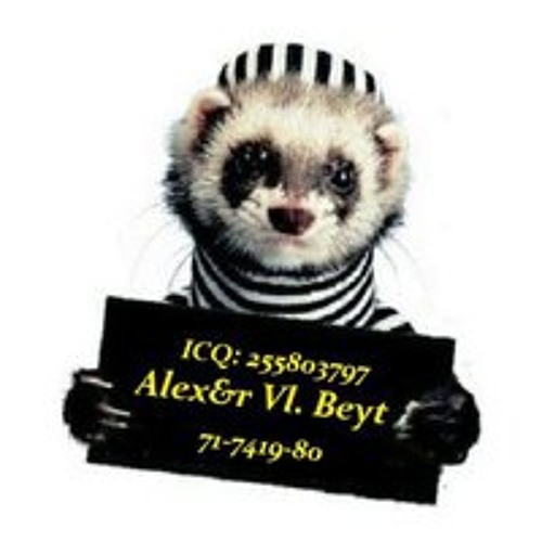 Alexandr Vl Batrakoff’s avatar
