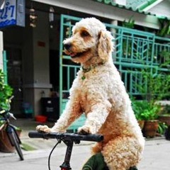 Harnas Rythm - Original Mix