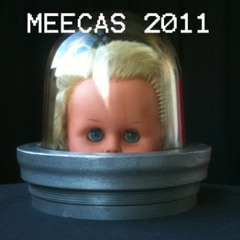 MEECAS 2011