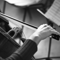 Up to my f-holes by Judith Ring