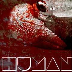 HUMANISED