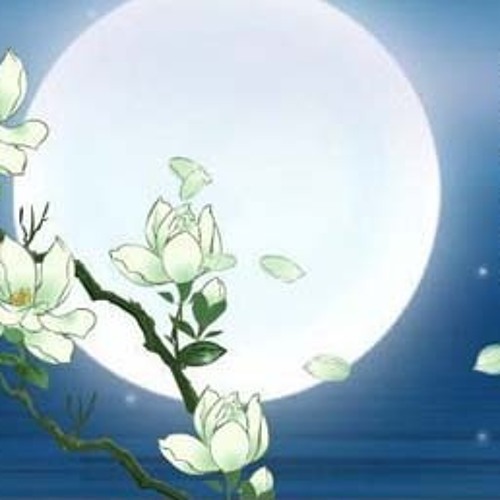 Hoa Tau Dan Tranh Trung Quoc