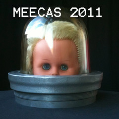 MEECAS 2011 (continued)