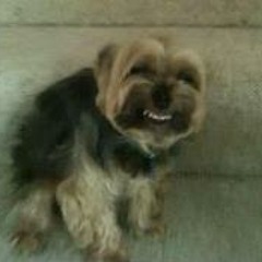 Eric Too BooKoo Scanlan