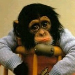 Catrina Camia Jackson