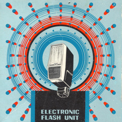 Electronic Flash Unit
