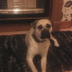 Kevin Buckley Ginger