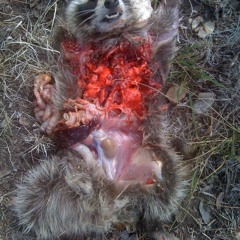 test tubes for giants