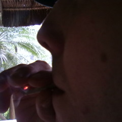 Grilo 13 - Sem Fogo de palha