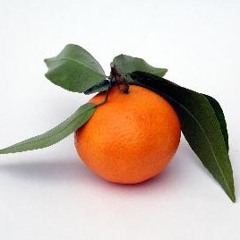 Tangerine d'Or