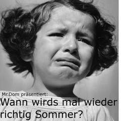 Stream Mr Dom Wann Wirds Mal Wieder Richtig Sommer Sep2011 By Mrdom Listen Online For Free On Soundcloud