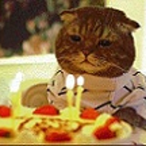 MrBirthdayCat’s avatar