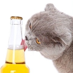 Lambrini