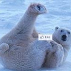 Attavit Akavit Asavisanu