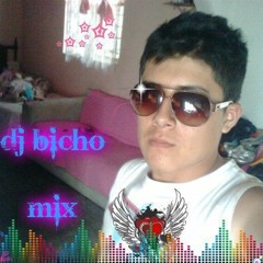dee jay bicho mix