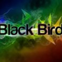 DJ Black Bird