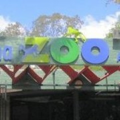 Santa Ana Zoo
