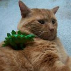 Adam Rico Suave Cornishe