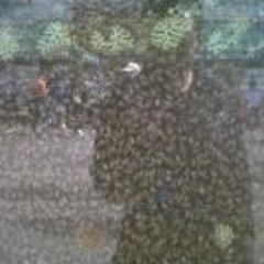 Brian Daniel Schwartz