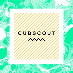 CUB SCOUT