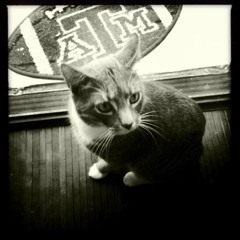 alwaysdesperatelywanting