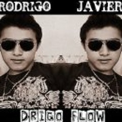 Drigo Flow