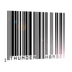 THUNDERHORSEVIDEO