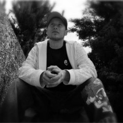 MisterLdaflowinLinguist