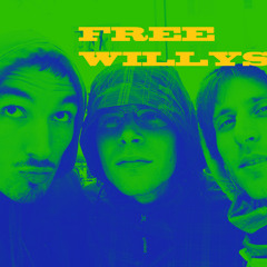 FREE WILLYS