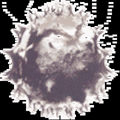 addagger