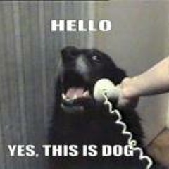 Tideth Caillera Numérique