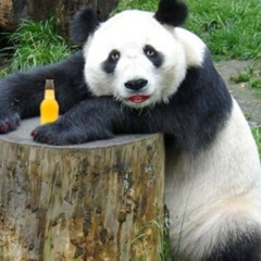 drunkpandas!!!