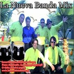 LA NUEVA BANDA MIX