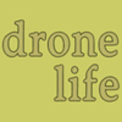 drone life