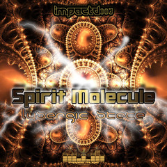 Spirit Molecule