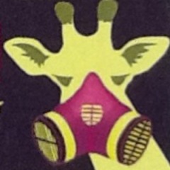 MoxieDesigns