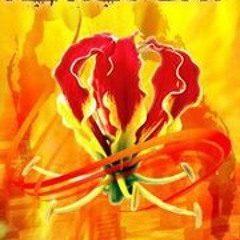 Chocolateboybaki Baki