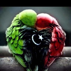 libyafree
