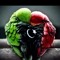 libyafree