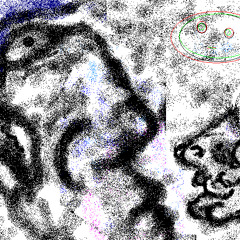 AndyKrangus Collaborative