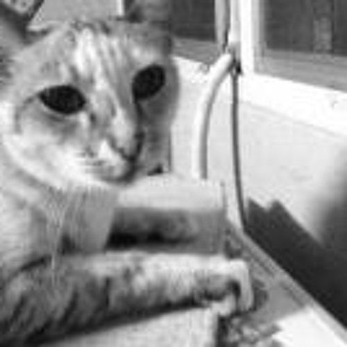 สุดที่รัก (cover) - Jo Onepiece