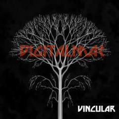 digitalmar